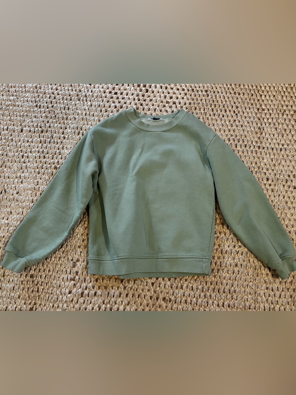 Zara Crewneck Sweatshirt